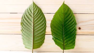 types of kratom